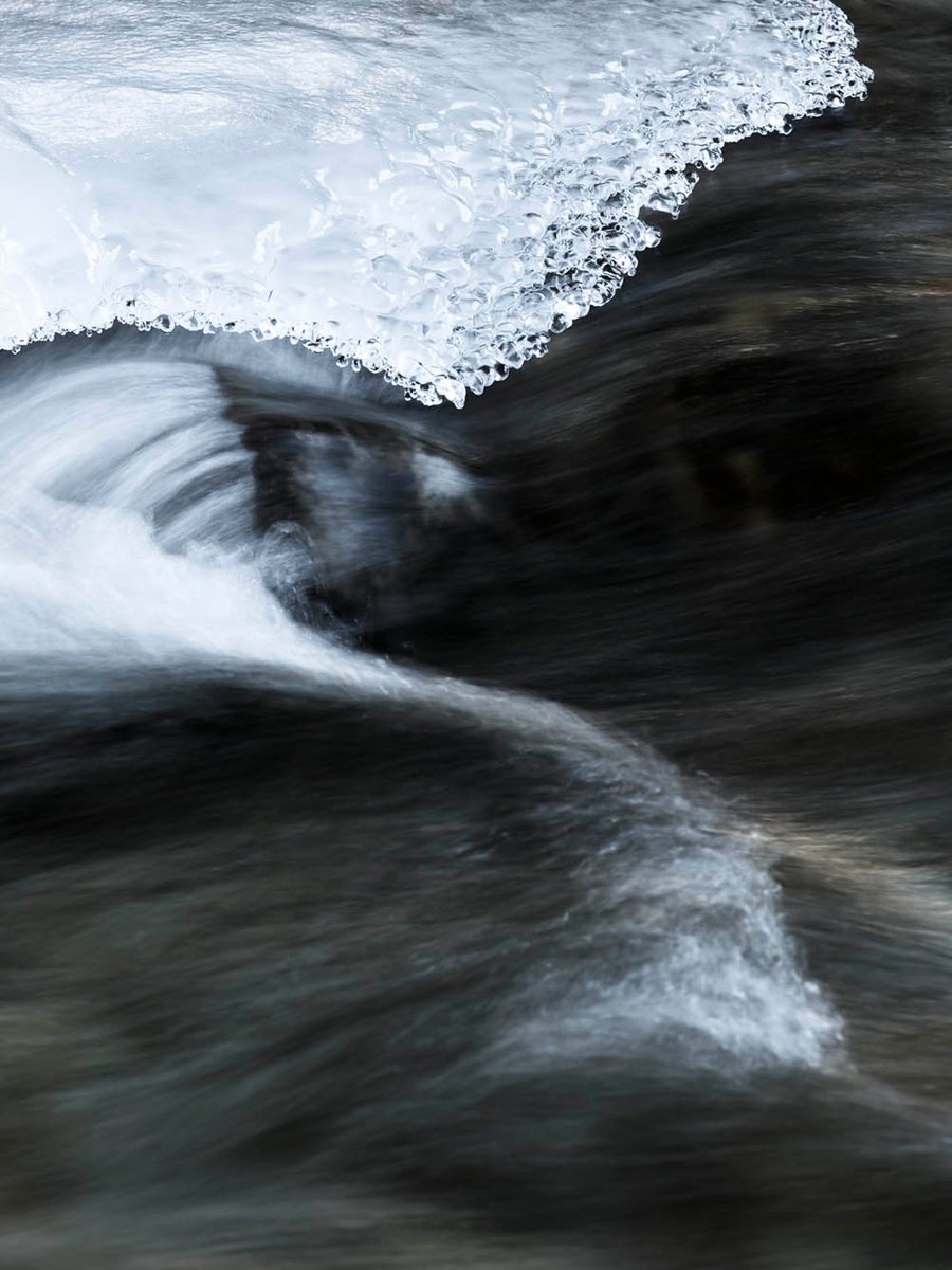 Fotospeed tweet media