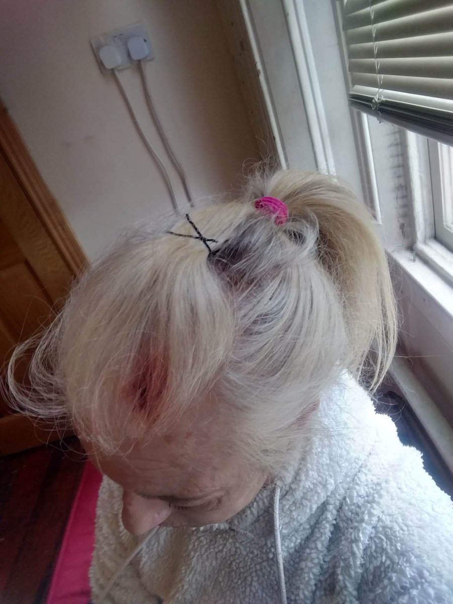 Theresa Kelly tweet media