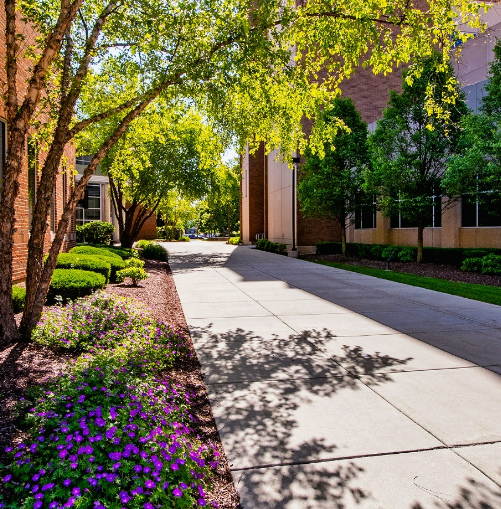 MWUSFS's tweet image. Happy Monday! Good luck on finals this week, you got this 👍