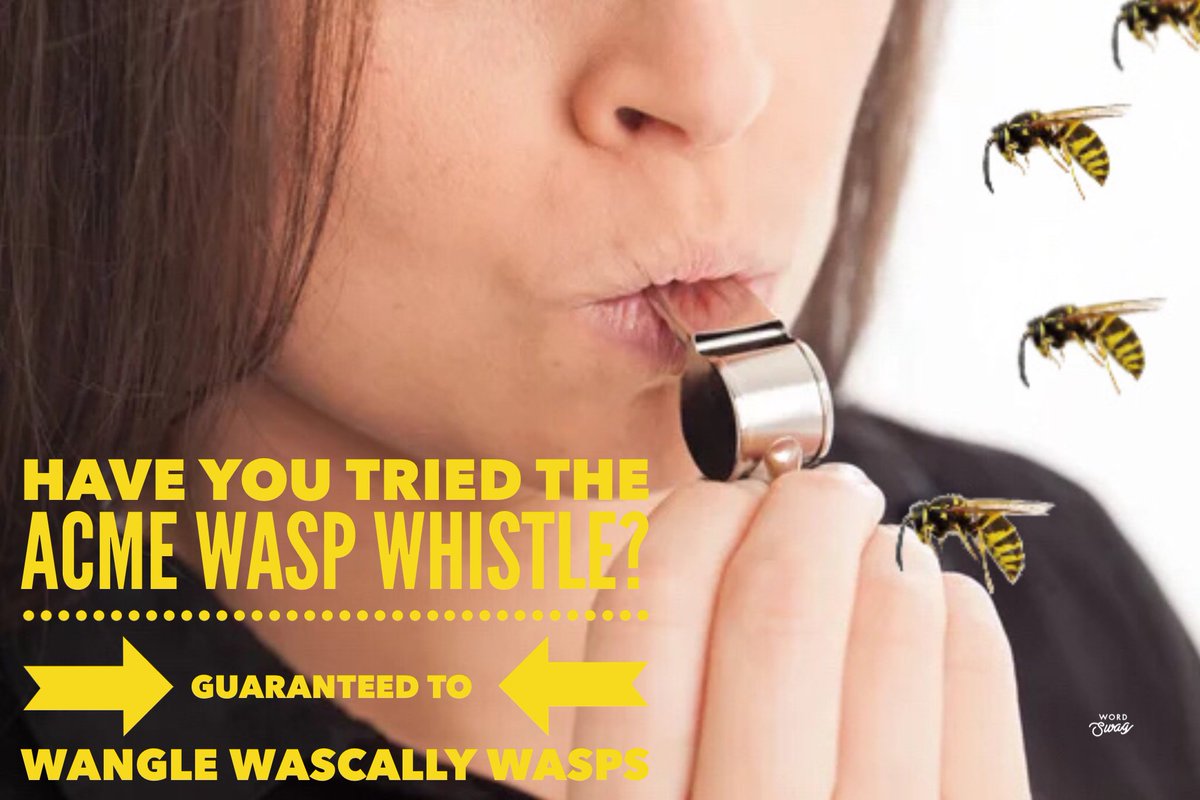 Emma-Kate Lanyon tweet media