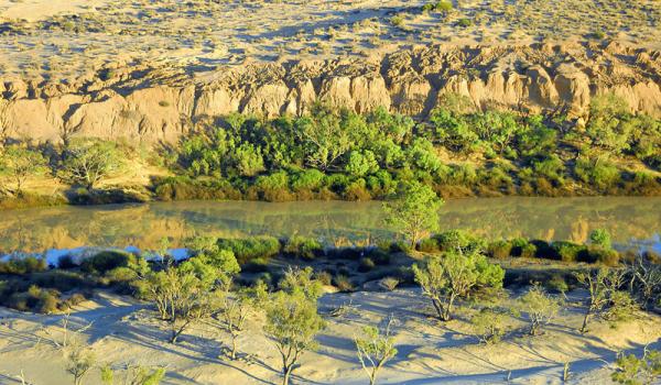 UNBiodiversity's tweet photo. Ecosystem restoration has many benefits, including:  
🐘Increasing biodiversity 
💧Improving air and water quality
💪Empowering indigenous peoples &amp; local knowledge

@IUCN's toolkit: https://t.co/5u7Ly6zV06 

Via @IUCN 

#BuildBackBiodiversity 
#BiodiversityDay https://t.co/H6KCVH7bn5
