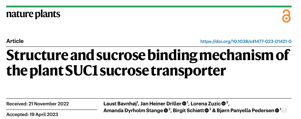 Super thrilled that we just got our latest findings published in @NaturePlants.🌿☘️🌻 Structure and characterization of the plant sucrose transporter SUC1: The '❤️' of plants. link: doi.org/10.1038/s41477… and full text here ($$ open access 😅): rdcu.be/dcaW1 1/