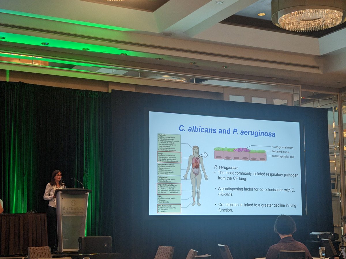 CampbellGourlay's tweet photo. Becky Hall @kentfungalgroup @biokent tells us all about dual species biofilms and drug resistance @MicrobioSoc Candida and Candidiasis 2023. https://t.co/ErVwcbXsQq