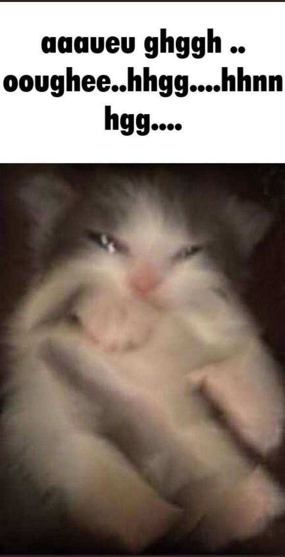 SPOOKYM0THER's tweet photo. https://t.co/4WSHjCRwyJ