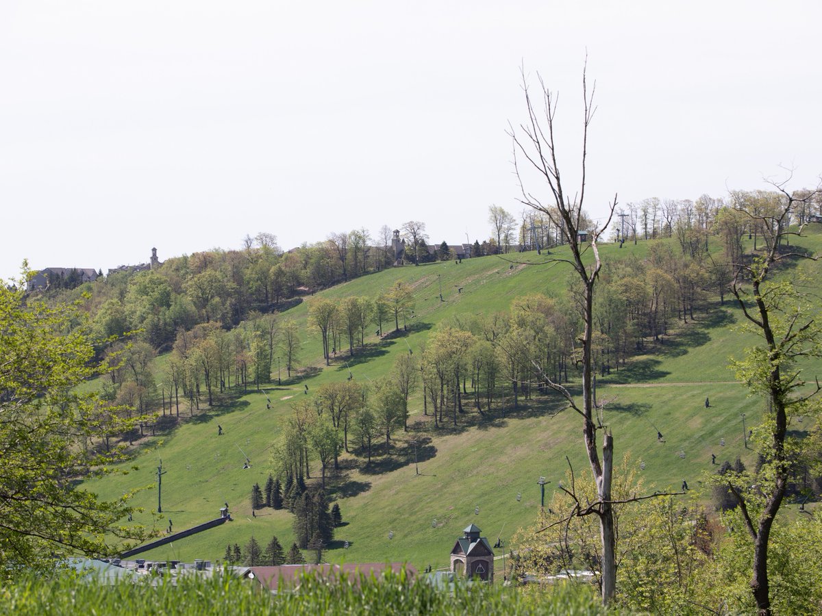 Seven Springs tweet media