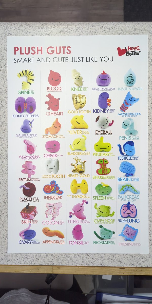 scorpiobkstr's tweet image. Plushies! 
#bodyparts #stuffies #toocute