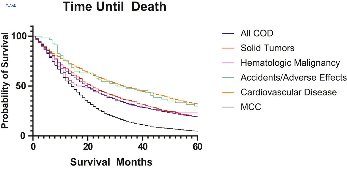 This study found that most Merkel cell carcinoma patients die of other causes, such as cardiovascular disease, stressing the importance of screening in this population. bit.ly/42rumzx
