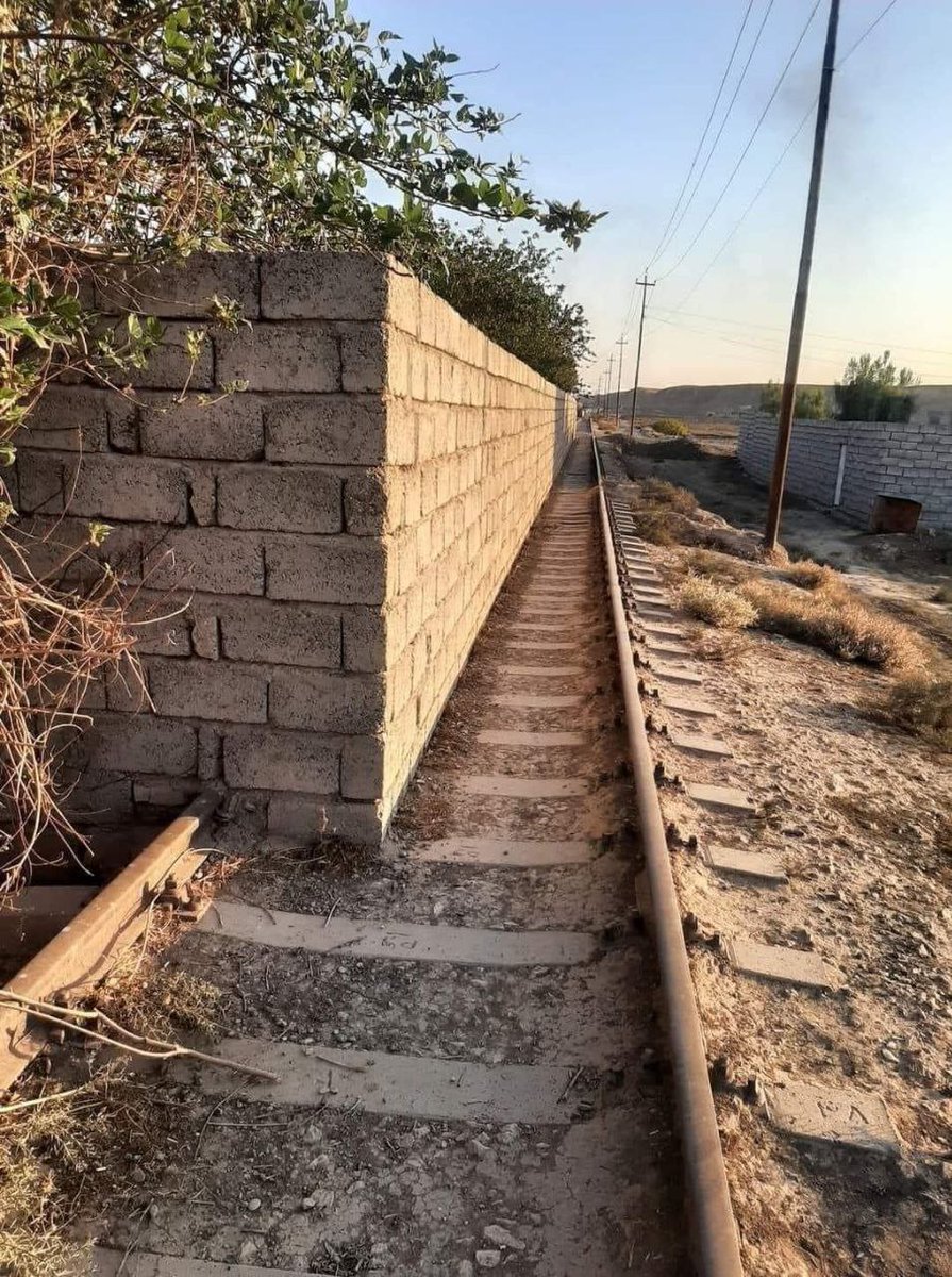 فقط عدنا..