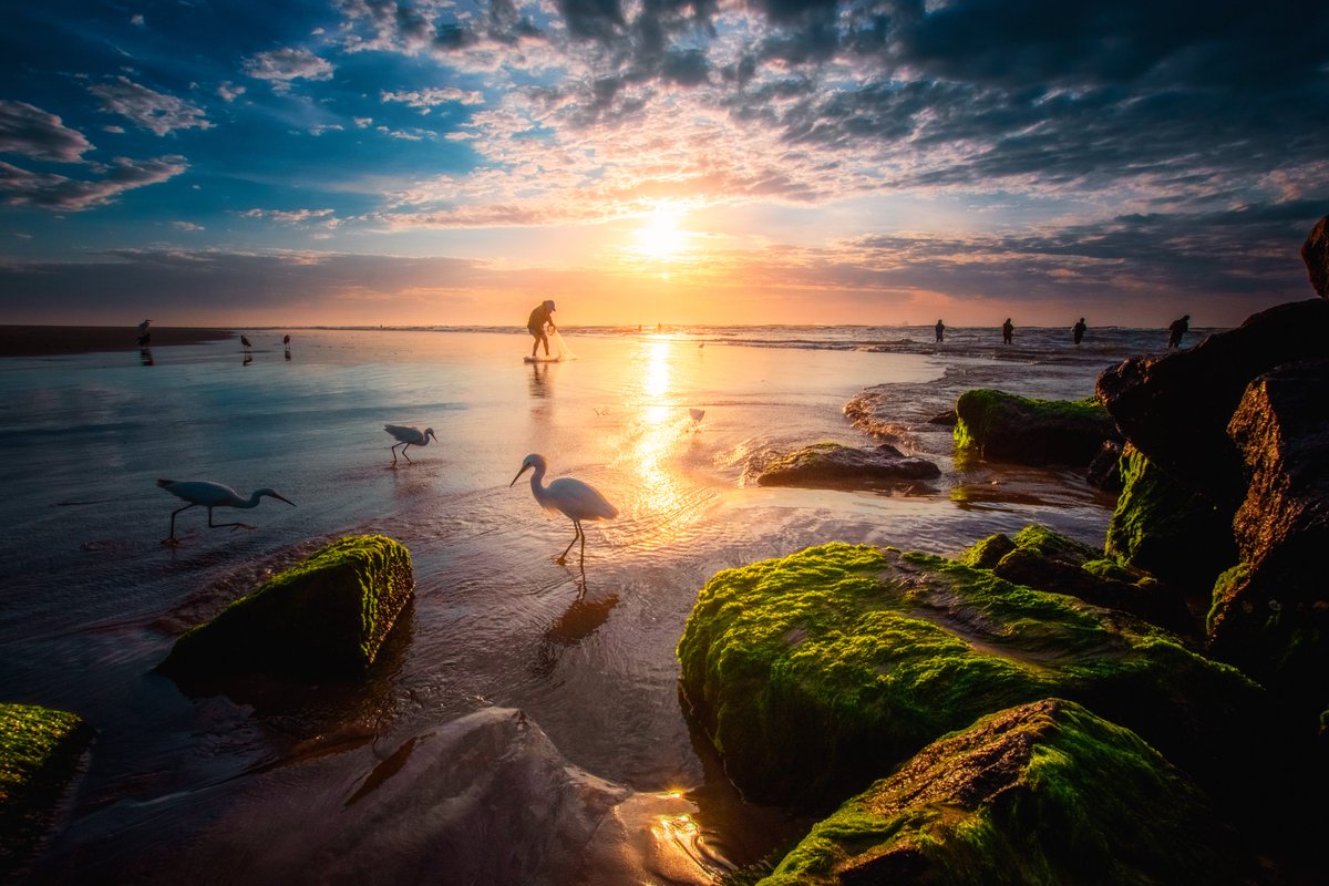 Lucas Morates tweet media