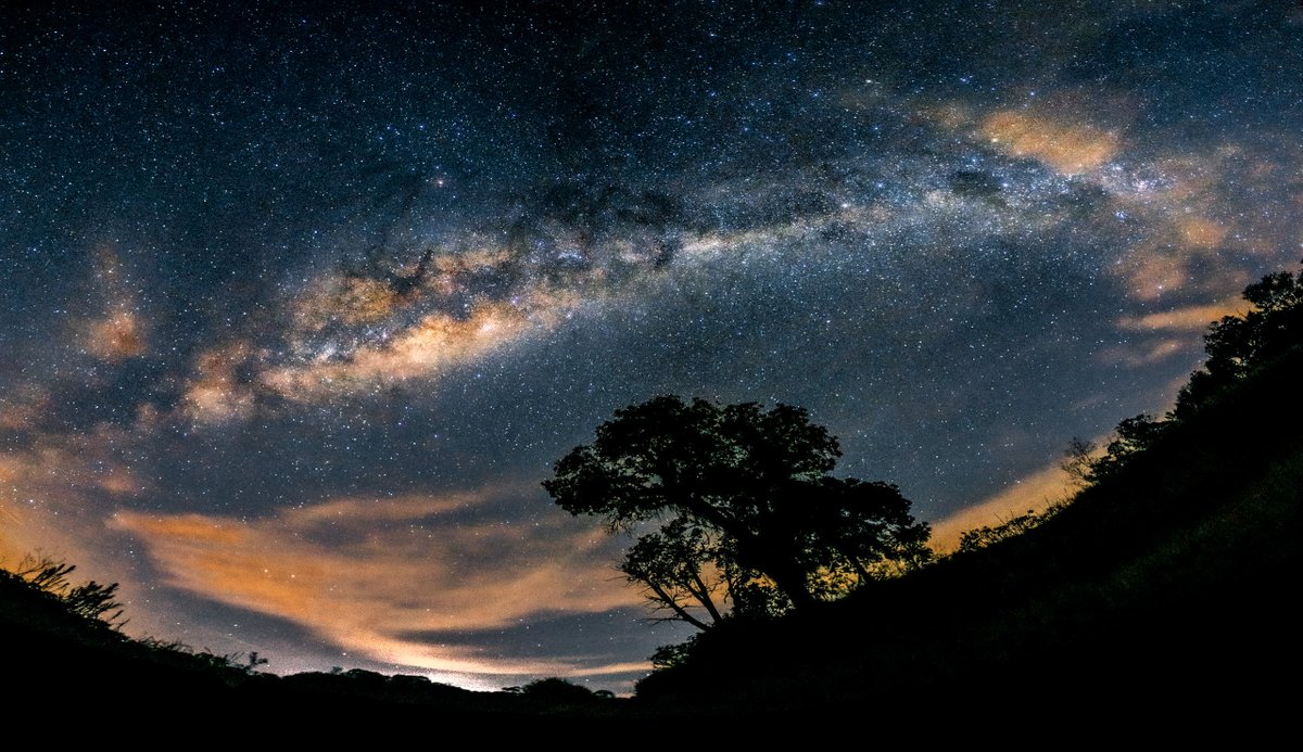 Lucas Morates tweet media