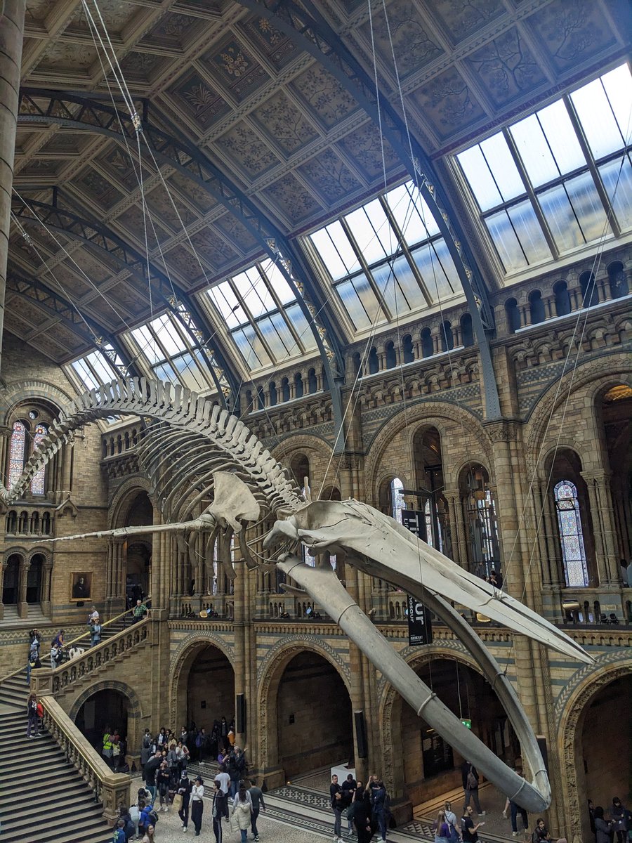 BACK IN LONDON BABY!! 🎥