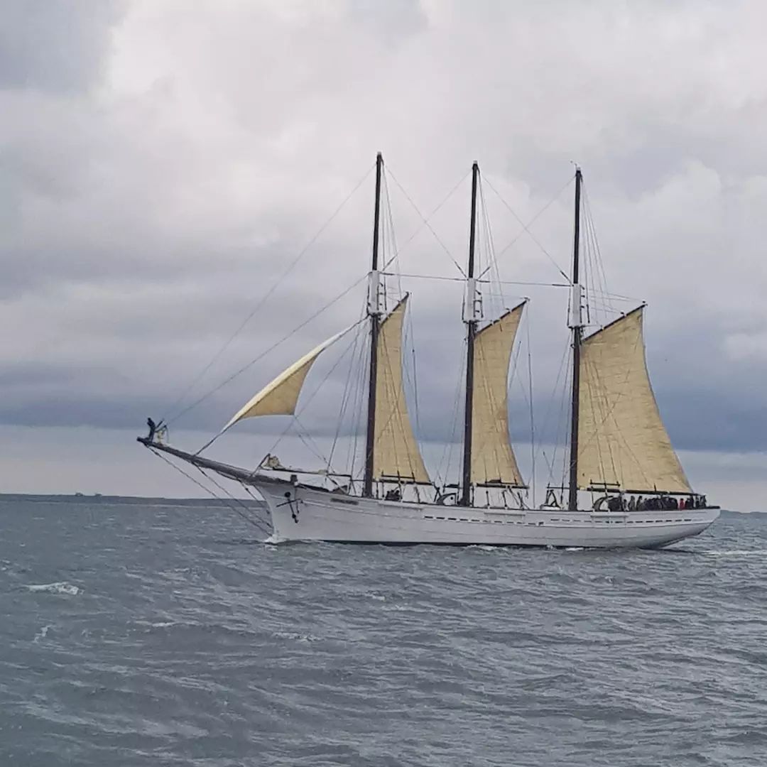 semaine_golfe's tweet photo. Petite parade de la #semainedugolfe (📸 Gwendolyn et Gérard). Retrouvez le programme de la semaine https://t.co/WtXQ0qOmdf  #morbihan #bateau #tallship https://t.co/0vjc6HdEWh