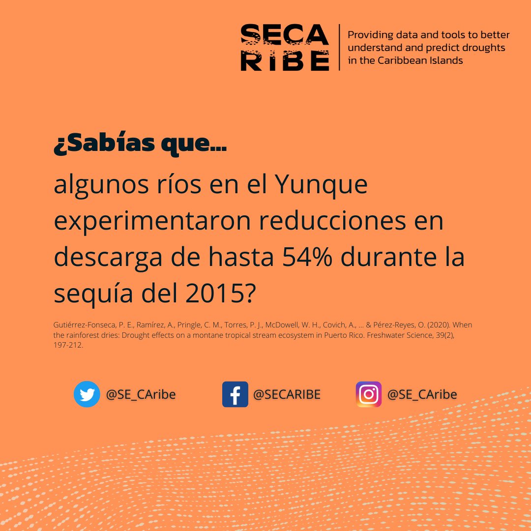 SECARIBE tweet media