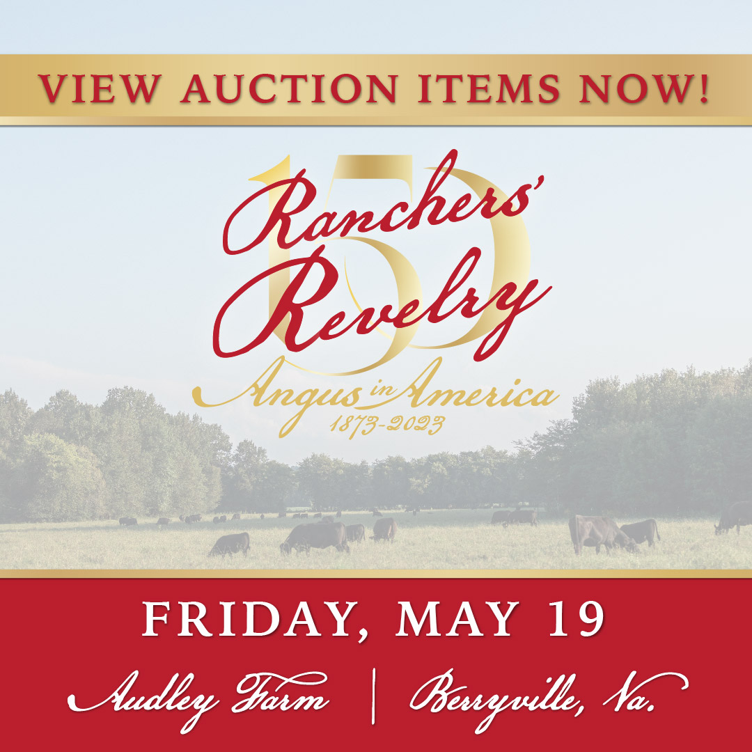It's almost time to celebrate Angus in America! Ranchers' Revelry will offer an auction with amazing experiences and unique items. Unable to attend? The auction will be broadcast via CCI.live.

View the catalog: bit.ly/3MlIDYN
bit.ly/RanchersRevelry