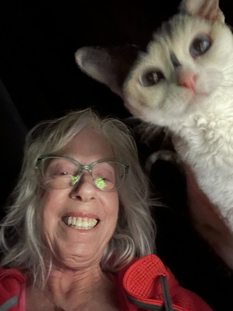 ClaireDeVille3's tweet image. Happy Monday! 

#selfieswithjewels 
#devonrexcat
