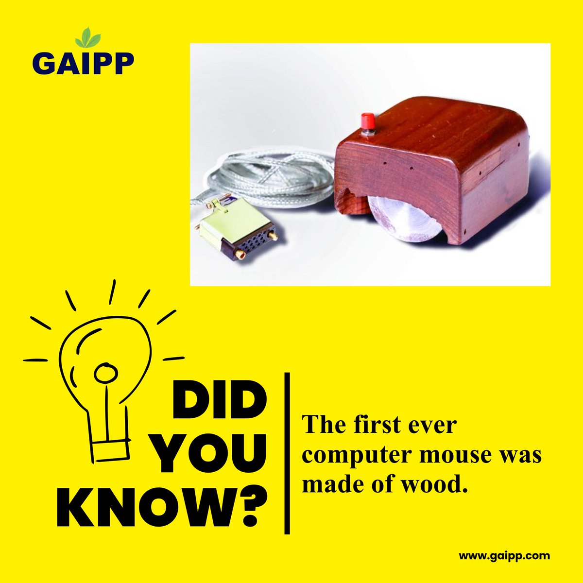 The first computer mouse was invented by Douglas Engelbart in the 1960s as part of an ARPA-funded experiment to find better ways for computer users to interact with computers. 

#computerhistory #DouglasEngelbart #Gaipp #invention #woodenmouse #userinterface #technology #ARPA