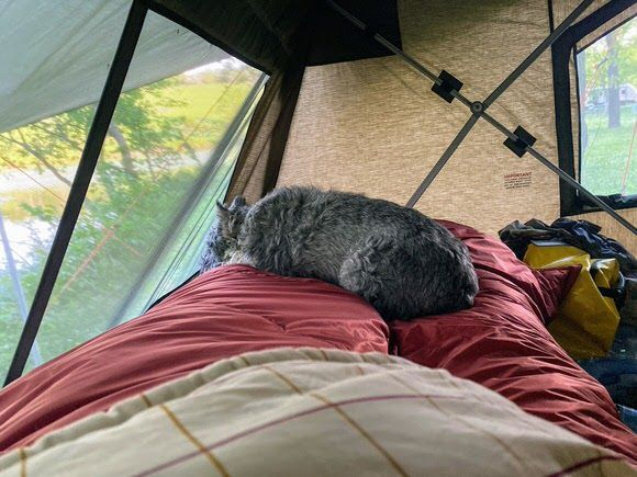 MfExplorer's tweet image. Blast from the past - Izzy looking out of the #OZtent #RV-3 at the lake.
.
.
.
.
.
#bushcraft #camp #camper #campfire #camping #campingfood #campingfun #campinggear #campinglife⛺️ #campinglove #campingtime #campingtrip #campingvibes #camping⛺️ #camplife … instagr.am/p/CsQ8hsiN3n4/