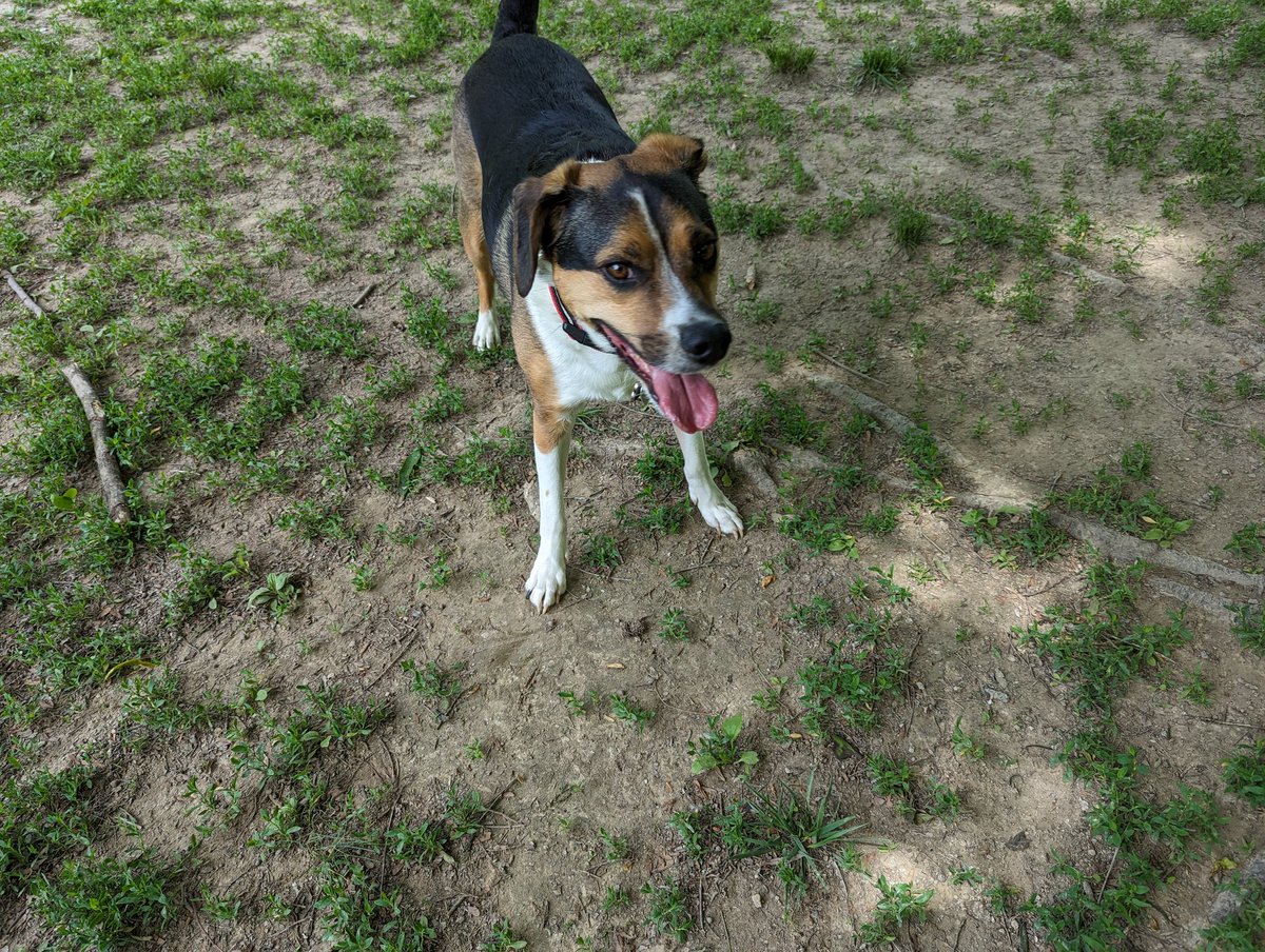 _NumberMuncher's tweet image. 