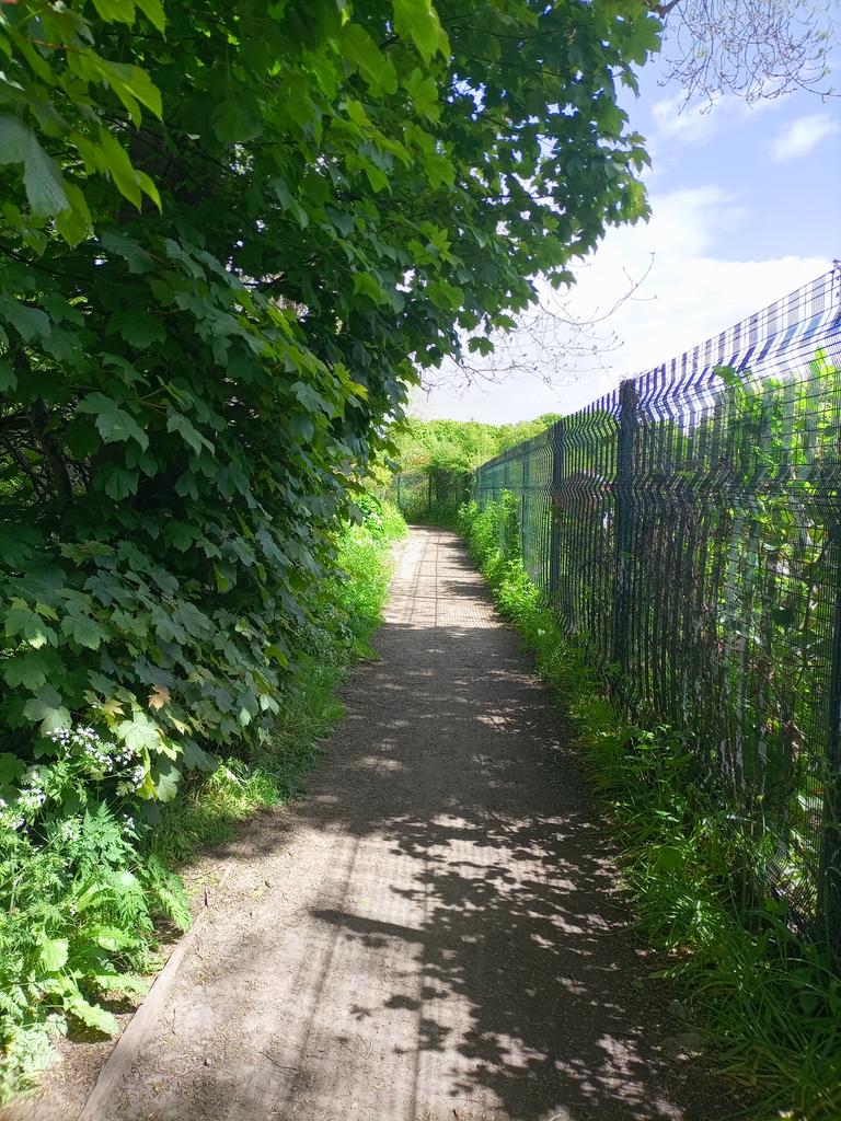 WOLCT's tweet photo. An enjoyable scouting walk along the #Longstone section in preparation for a corporate team from @Chase banking tomorrow.
Plenty of trimming back to re-establish the walkway width and save runners legs from nettles
@PathsforAll @Edinburgh_CC @Longstone_CC https://t.co/tZESS2i1Or