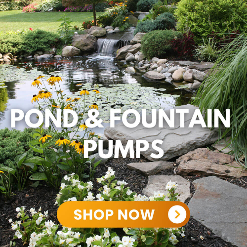 WaterhousePumps's tweet photo. Get a closer look at one of our most loved pond pumps, the WH1200 😃 - https://t.co/AKc6pWZVOB https://t.co/lkVPPtrhMf
