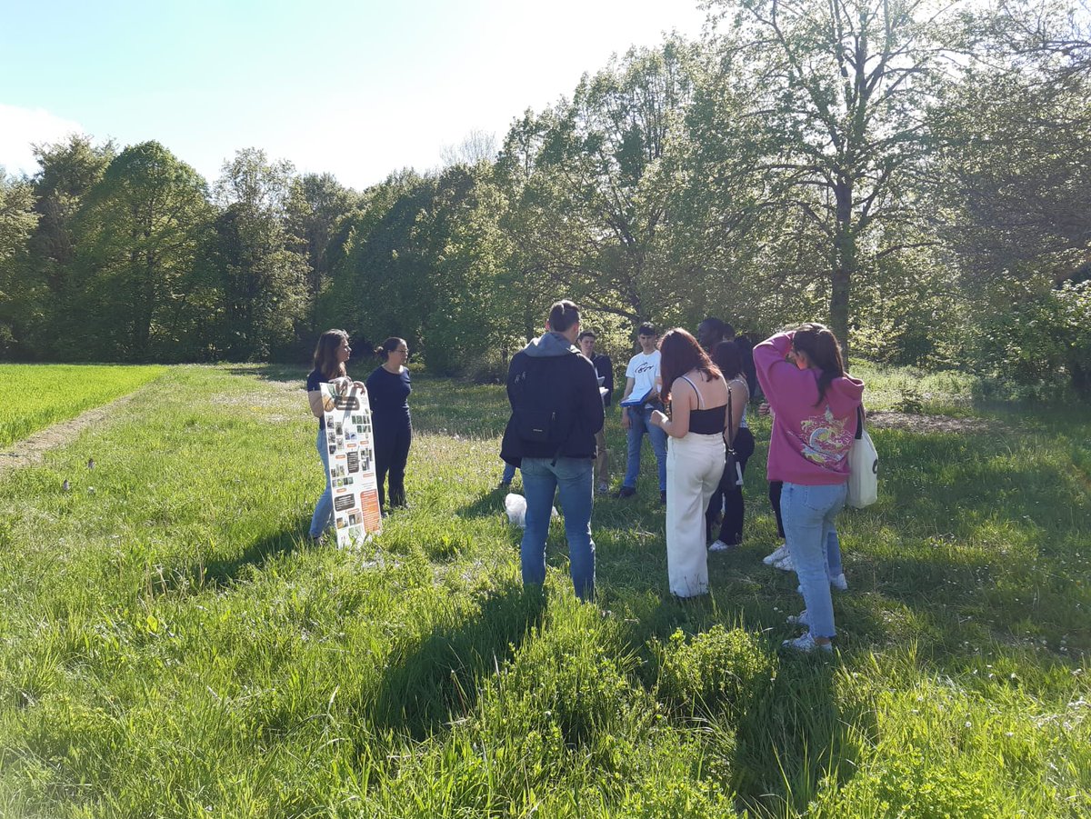 🙋🏼‍♀️ Cours sur les auxiliaires des ravageurs auprès des étudiants du lycée de <a href="/lasaussaye_epl/">EPLEFPA Chartres La Saussaye</a> sur une pelouse fleurie en lisière d'une parcelle de blé bio 🌾

@chambagri28