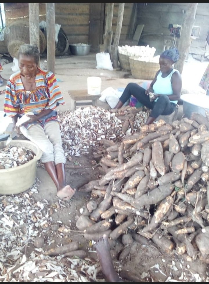 HakiNawiri's tweet image. Nutrition plays a key role in the lives of #women and #girls @nanodo2001  #WeExist @CSM4CFS @EAYNOfficial @KPL_Women @Ecopolis_be @falubbe @AnnSongole @obchandler93