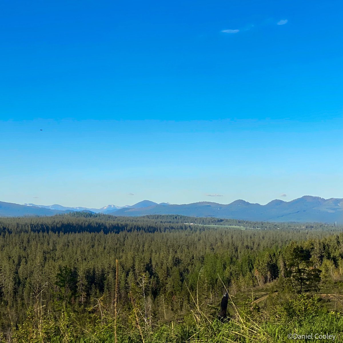 This last weekend was beautiful out.
.
#RandomDrivingPhotos #NorthIdaho #FeelsLikeSummer #PNW #Sandpoint #Coeurdalene #Spokane #Idaho