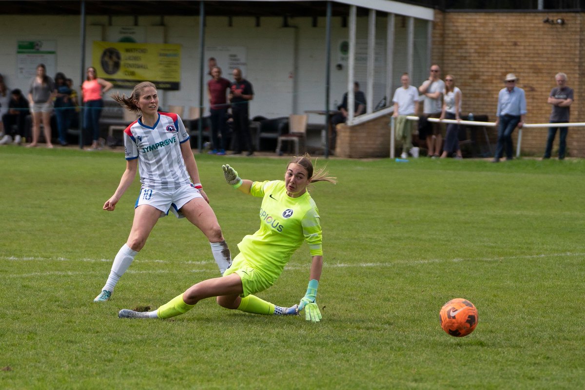 Dorking Wanderers Women tweet media