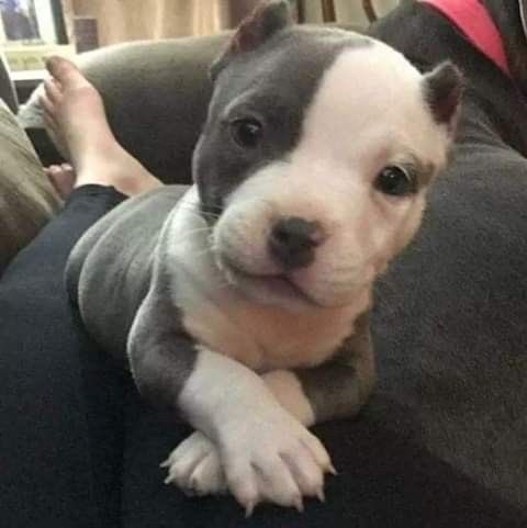 twaniimals's tweet photo. https://t.co/P6lxZVMvYU