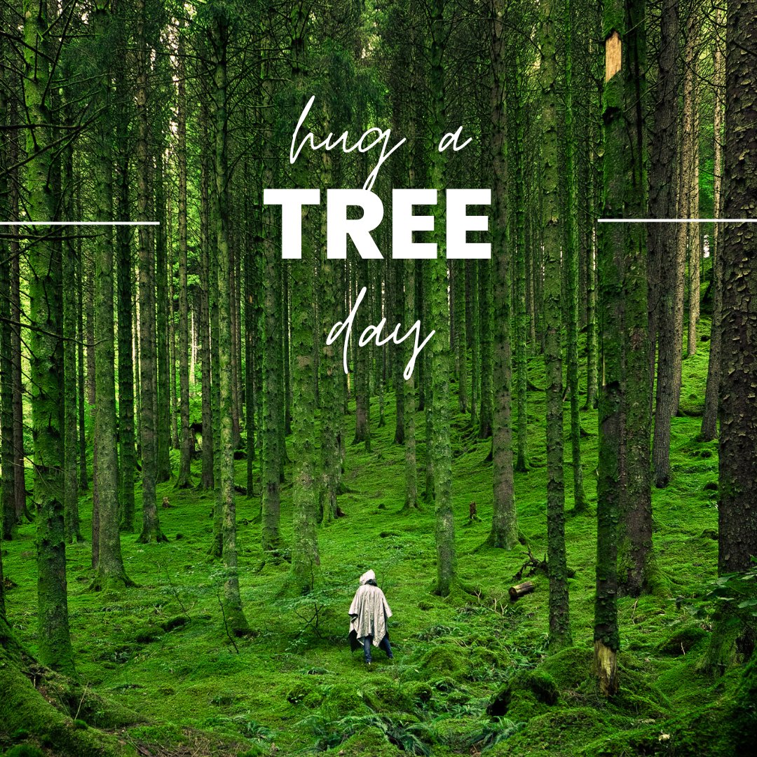 TeenHelp's tweet photo. Today is hug a tree day. Find a tree that speaks to you and wrap your arms around it. Feel the bark against your arms and the ground supporting your feet. Stay connected to yourself and to nature.
#teenhelporg #teenhelpcalendar #teenhelp #trees #hugatree #treelove #treebark https://t.co/7HbaaW3Bmz