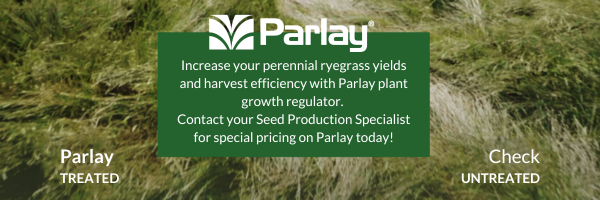 BrettYoungSeeds's tweet photo. #DYK you can get special pricing on our exclusive plant growth regulator until the end of May? Parlay is for turf-type PRG seed production, decreasing your plant height and lodging so you get the yield you worked for. Contact your SPS today to learn more: https://t.co/6nWRWZK5Oc https://t.co/uuVawKSr5Q