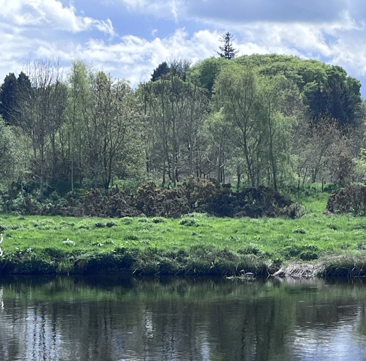 🌿Wellbeing Walk🌿

What a stunning campus we have @RobertGordonUni

A lovely short lunchtime walk with @hannahbezzy to help clear the mind🧠
Even spotted a wee heron fishing! 🎣

Who’s joining me next time? 

@RGUNMandP @RGUParamedics @MidwivesRGU 
#Wellbeing #Wenurseacademics