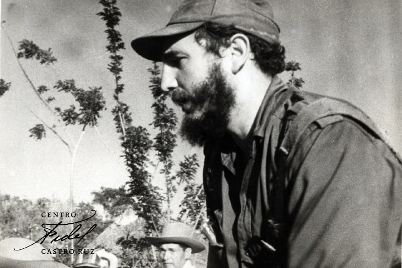 #Fidel:"La paz es el gran anhelo hoy de todos los pueblos del mundo y, entre ellos, nuestro pueblo". #DíaInternacionalDeLaConvivenciaEnPaz