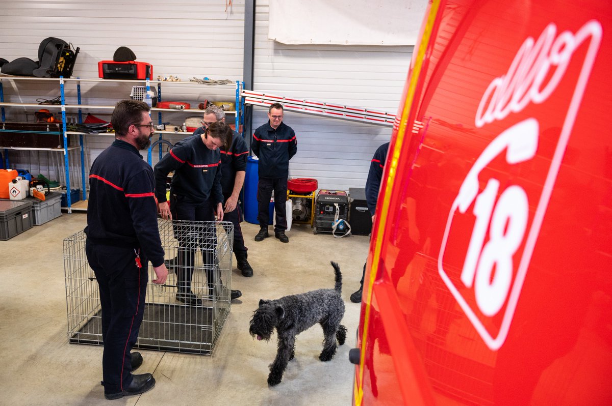 pompiers36's tweet photo. 🐍🐎 3 sapeurs-pompiers de l'Indre ont suivi le stage pour devenir formateur sur les risques animaliers. 

🧑‍🚒 Des serpents aux chevaux, tous les @pompiers36 apprennent à prendre en charge ces animaux lors d'interventions, notamment en cas d'accident ou d'incendie. https://t.co/JKwLl2Ylsi