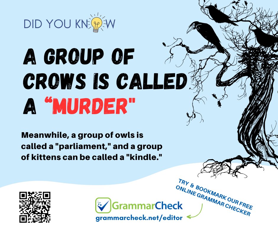 english-grammar-on-twitter-did-you-know-grammar-checker-https