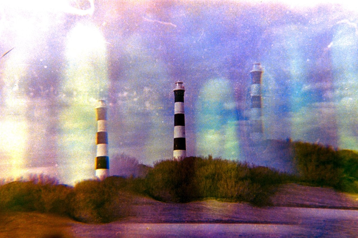 only one edition of each of these photos left 🍃