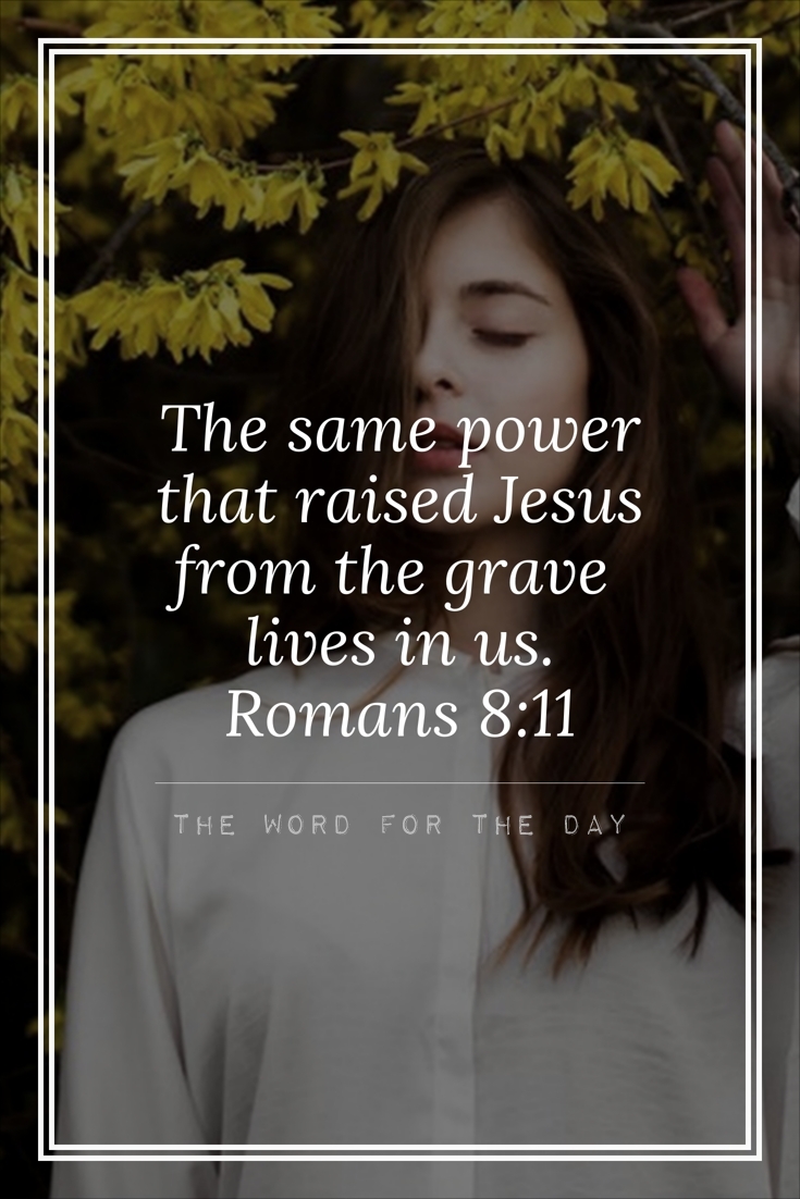 Str_In_Faith tweet picture