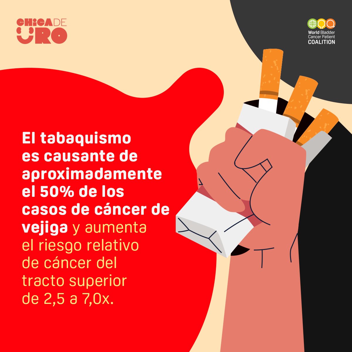 ⚡Fumar tabaco🚬 es el factor de riesgo más importante para el cáncer de vejiga y el cáncer del tracto urinario superior 🆘🚨

¡Stop smoking! #bladdercancer #utuc #eauguidelines #BladderCancerMonth23 @WorldBladderCan