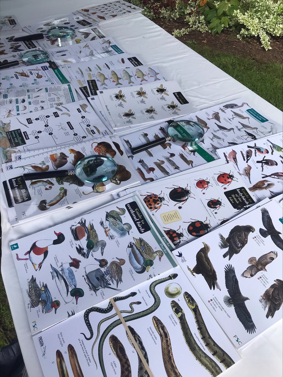 BishopBurton's tweet photo. Our degree-level Animal Management and Wild Mammal Behaviour students carried out a #BioBlitz species census last week. The group spent an intensive day capturing and cataloging types of invertebrate, bird, and small mammals. 

#SpeciesCensus #Biodiversity #UCBB https://t.co/f3J46fl19v