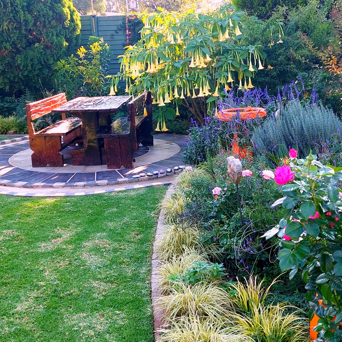 DesignerGarden2's tweet photo. Designer Gardens Landscaping www.designergardens1@gmail.com https://t.co/2xyeUynaAY
