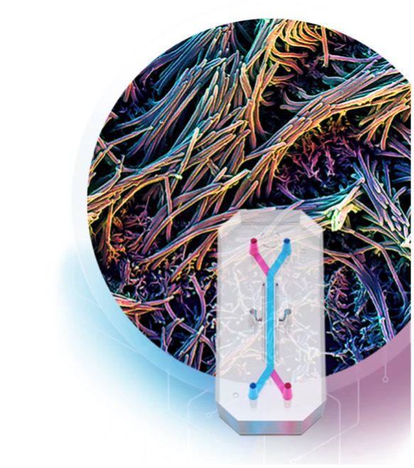 Potomac Photonics (@potomacphotonic) on Twitter photo New <a href="/US_FDA/">U.S. FDA</a> guidelines open door for replacing animal tests w/ #microfluidic derived data. <a href="/emulateinc/">Emulate, Inc.</a> reports landmark results in <a href="/Nature/">nature</a> <a href="/CommsMedicine/">Communications Medicine</a> that revolutionizes #drugdiscovery
Details along w/comments from <a href="/wyssinstitute/">Wyss Institute</a> 's <a href="/DonIngber/">Don Ingber</a> here:
potomac-laser.com/blog/new-fda-d… New <a href="/US_FDA/">U.S. FDA</a> guidelines open door for replacing animal tests w/ #microfluidic derived data. <a href="/emulateinc/">Emulate, Inc.</a> reports landmark results in <a href="/Nature/">nature</a> <a href="/CommsMedicine/">Communications Medicine</a> that revolutionizes #drugdiscovery
Details along w/comments from <a href="/wyssinstitute/">Wyss Institute</a> 's <a href="/DonIngber/">Don Ingber</a> here:
potomac-laser.com/blog/new-fda-d…