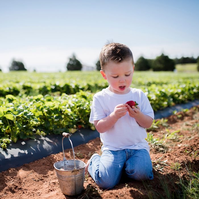 Mary Weggeland gives us a great guide to berry picking with kids around our great state. Where do you like to go berry picking? #berrypicking #oregonberrypicking #parenting #portlandparents #oregonparents #oregonkid oregonkid.com/2023/05/a-guid…