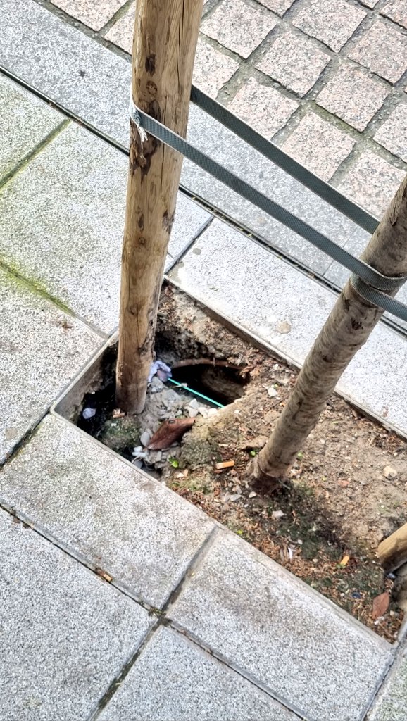SdeSantander39's tweet photo. Socavón en Calle San Luis de Santander. Inversión municipal de 891.891 euros. Tras 2 años de su inauguración, sigue sucia, descuidada y abandonada totalmente.
@gemaigual @fergodani @PinaFelipe_ @keruin_martinez #Santander #sinIgual https://t.co/MtxbSy0v6l