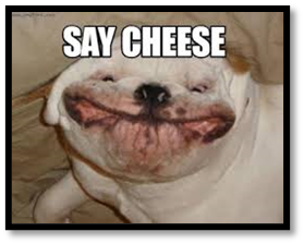 CheeseComp97's tweet photo. #Cheeser https://t.co/XYOoLnLq7X