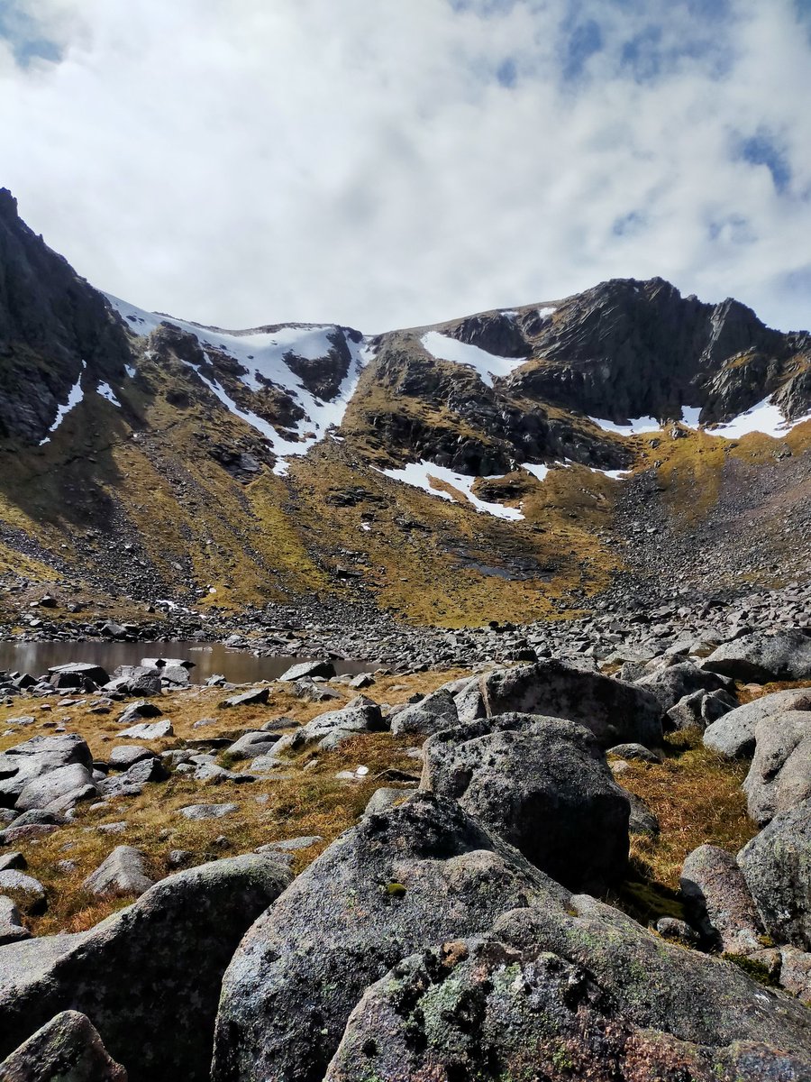 Karen Anderson tweet media