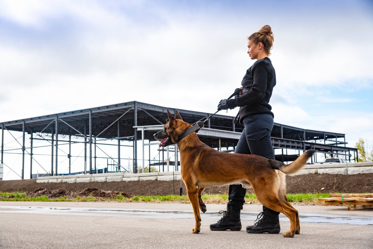 Audrytaz's tweet photo. Le @poleemploi_VAR #StMaximin se mobilise, hors les murs, à Vinon sur Verdon pour une #detectiondePotentiel . 1⃣2⃣présents prêts à se tester et échanger avec un employeur présent, autour d'un secteur qui recrute : celui de la sécurité.
Un outil financé par @MaRegionSud https://t.co/OG9ezIUhct