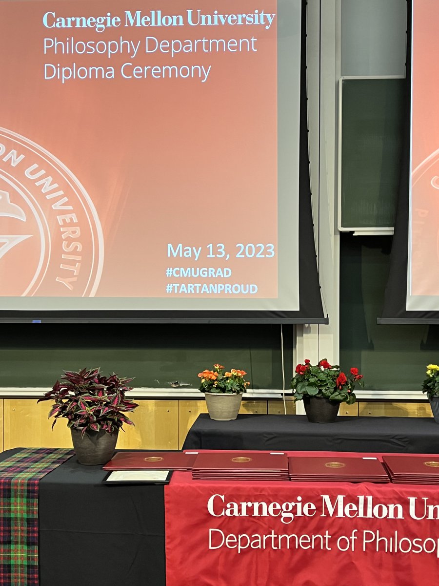 Aristotle the Turtle tweet media