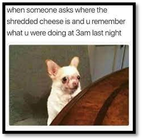 CheeseComp97's tweet photo. #FunnyMemes https://t.co/MoZFpd7QtQ