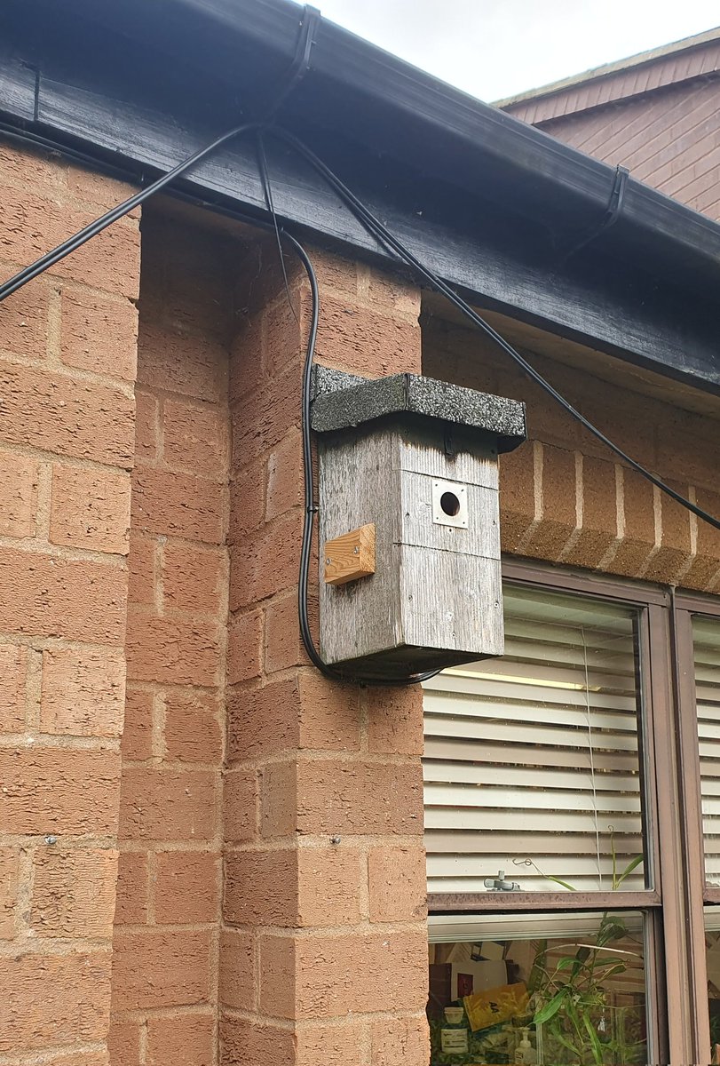 dewhurst_ben's tweet photo. Until @BBCSpringwatch is on, we have our own @WymondhamCol version. 

Not long until they hatch now 🥚🐣🐦 https://t.co/j6ICTNrzra