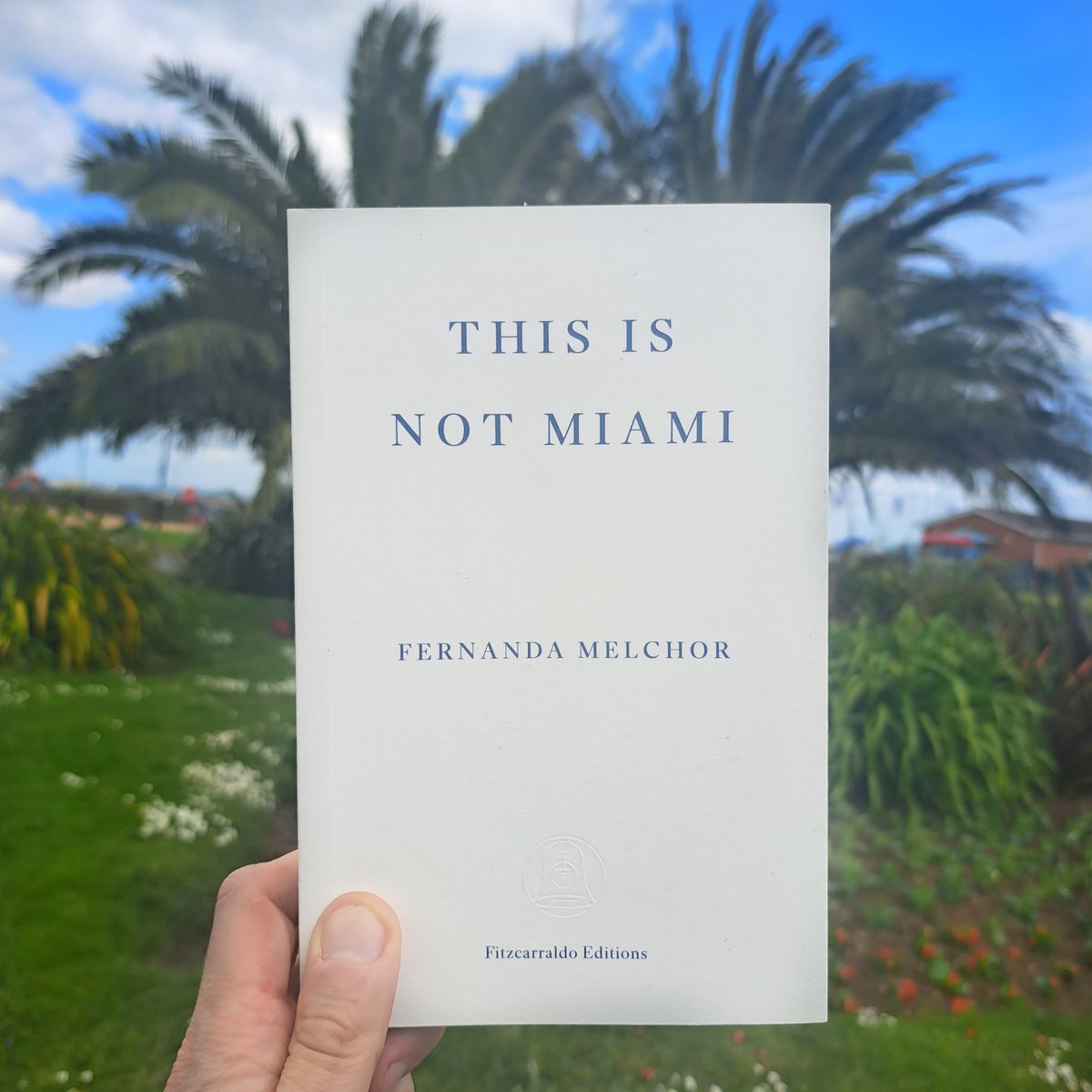 TheBookshopMan's tweet photo. In the book post: #ThisIsNotMiami by Fernanda Melchor. Set in Mexico: a series of devastating stories - spiralling from real events-that bleed together reportage and the author's rich & rigorous imagination. I loved Melchor's Paradais & Hurricane Season. I can't wait to read this https://t.co/PkYAzVOu4q